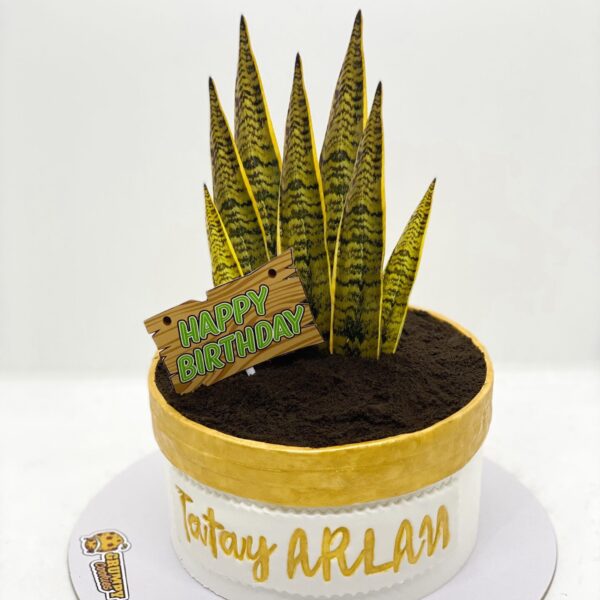 pot,brown,green,small,birthday,plant